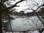 DSC02224.JPG