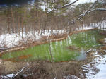 DSC02226.JPG
