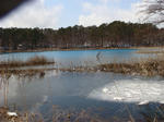 DSC02228.JPG