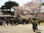 DSC02266.JPG