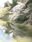 DSC02270.JPG