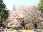 DSC02271.JPG