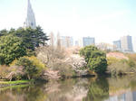DSC02273.JPG