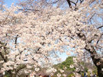 DSC02275.JPG