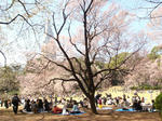 DSC02276.JPG