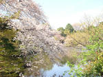 DSC02277.JPG