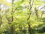 DSC02274.JPG