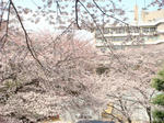 DSC02282.JPG