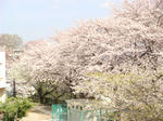 DSC02283.JPG