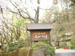DSC02285.JPG