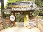 DSC02287.JPG