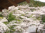 DSC02289.JPG