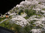 DSC02292.JPG