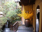 DSC02293.JPG