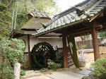 DSC02294.JPG