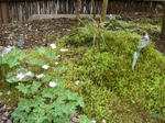 DSC02295.JPG