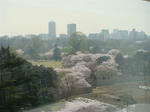 DSC02301.JPG