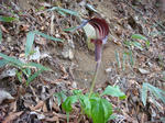 DSC02321.JPG