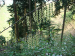 DSC02324.JPG