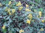 DSC02326.JPG