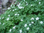 DSC02327.JPG