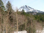 DSC02349.JPG