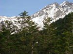 DSC02358.JPG
