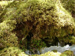 DSC02385.JPG