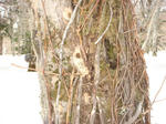 DSC02395.JPG
