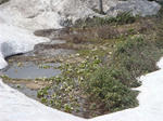 DSC02416.JPG