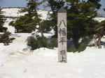 DSC02461.JPG