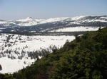 DSC02467.JPG