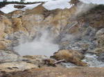 DSC02425.JPG