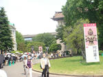 DSC02491.JPG