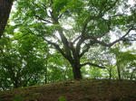 DSC02514.JPG