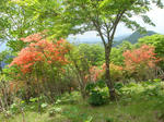 DSC02512.JPG