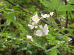 DSC02521.JPG