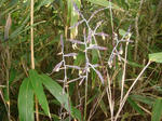 DSC02500.JPG