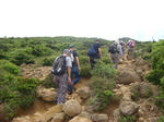 DSC02533.JPG