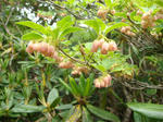 DSC02528.JPG