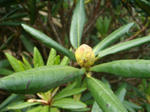 DSC02540.JPG