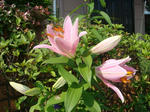 DSC02565.JPG