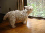 DSC02570.JPG