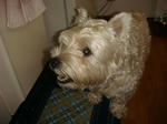 DSC02574.JPG