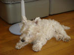 DSC02576.JPG