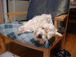 DSC02583.JPG