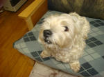 DSC02584.JPG
