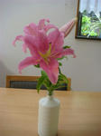 DSC02586.JPG