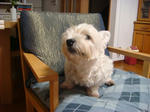 DSC02591.JPG