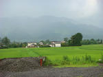 DSC02652.JPG